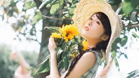 广州15米巨树台风连根拔起