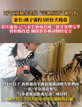 广西动物园女童被虎咬伤