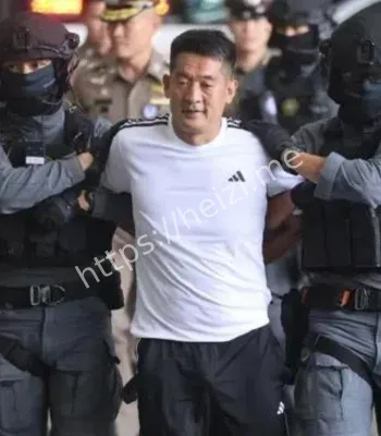 佘智江被成功引渡回国