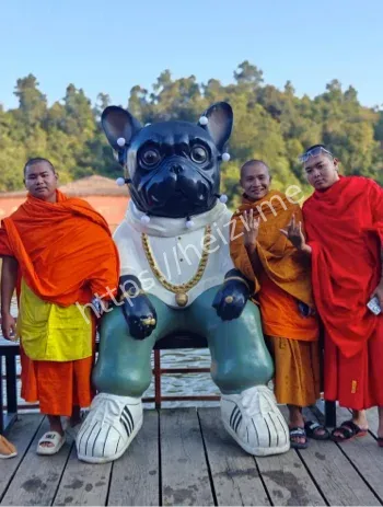 印度肉佛科技打药吧兄弟